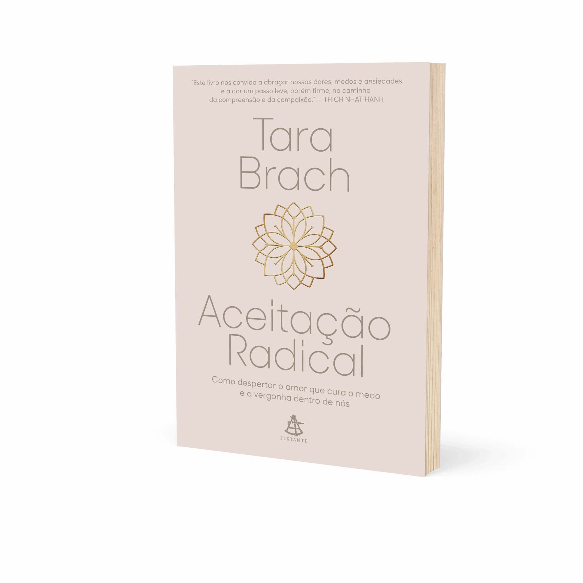 undefined | Livro - Aceitação radical