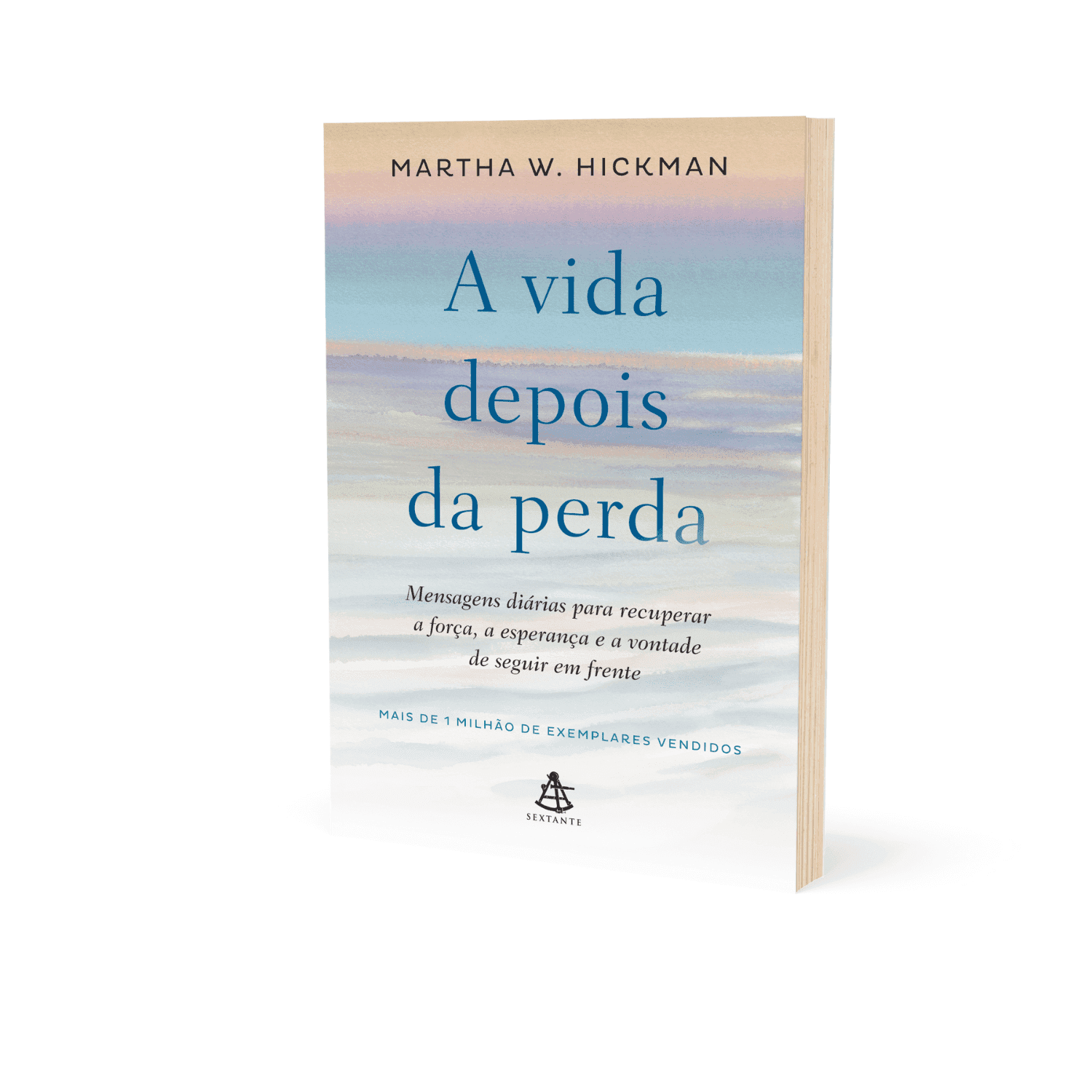 undefined | Livro - A vida depois da perda